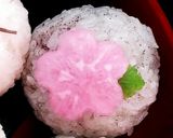 梅炊き込みご飯と塩漬け桜のおにぎり♪作り方9写真