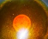 お弁当にも＊ベビーホタテの甘辛煮作り方1写真