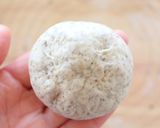 チーズ溢れる♪ライ麦プチパン作り方17写真