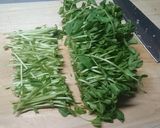 5分で完成！鯖味噌缶と豆苗のレンチン和え作り方1写真