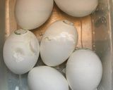 ふりかけチキン☆タルタル添え作り方3写真