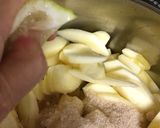 生地から手作り・うちのアップルパイ作り方4写真