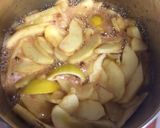生地から手作り・うちのアップルパイ作り方7写真