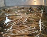 ５分で桜えびの春パスタ作り方1写真