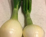 葉玉ねぎと牛肉の甘辛煮作り方1写真