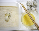 簡単！小さい牡蠣で小さいカキフライ作り方7写真