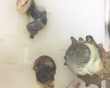 サザエの刺身(捌き方)作り方3写真