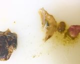 サザエの刺身(捌き方)作り方5写真