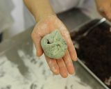 よもぎ餅作り方8写真
