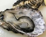 土日に7回の活力チャレンジ♡生牡蠣の塩辛作り方2写真