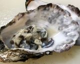 土日に7回の活力チャレンジ♡生牡蠣の塩辛作り方12写真