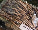 簡単！＆基本の♪土筆(つくし)の下処理作り方1写真