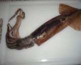 イカとアン肝のトマト煮♪作り方1写真
