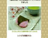 子どもと作ろう道明寺粉でさくらもち作り方18写真