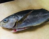 イサキの塩唐揚げ作り方1写真