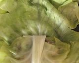 とろ〜りスープのロールキャベツ作り方6写真