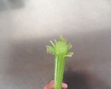【野菜ソムリエ】ふきの下茹で作り方4写真
