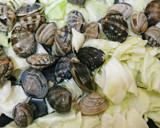 簡単すぎる！アサリとキャベツのレモン蒸し作り方3写真