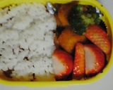 お弁当の記録＜２月分＞作り方12写真