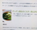 チンゲン菜のオイスターあんかけ作り方3写真
