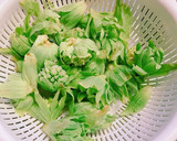 春の味覚♪絶品☆ふきのとうの天ぷら作り方1写真