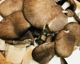 力うどんの寄せ鍋☆鶏肉ときのこの野菜鍋作り方3写真