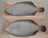 ババガレイの煮付け作り方1写真