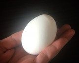 めんつゆで簡単すぎる 半熟味玉 ♪♪♪作り方1写真