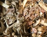 豚こま肉とたっぷりキノコの生姜煮作り方4写真