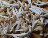 ヘルシー✾鶏ささみと長ネギ しめじの煮物作り方1写真