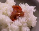 濃厚イカの塩辛☆作り方5写真
