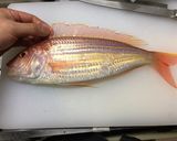 イトヨリダイのお造り&焼き霜造り作り方2写真
