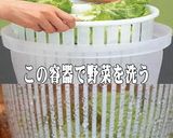 美味ドレの肉味噌と姜葱ソースで青梗菜炒め作り方7写真