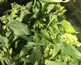 【春の味覚】菜の花のカルボナーラ作り方2写真