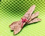犬用 カレイのレバー&冬鯖のポキポキ棒作り方9写真