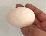 簡単・半熟ゆで卵・半熟煮卵作り方6写真