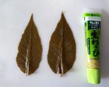 ＊春の香り＊桜の葉の塩漬け入り玉子焼き作り方1写真