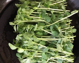 青臭さが消える！豆苗炒め♪作り方7写真
