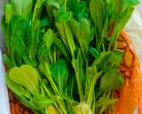 プランター生産のチンゲン菜の炒め物作り方1写真