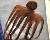 干しイイダコの焼き方〜(o˘◡˘o)♡作り方2写真