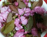 八重桜で桜の花の塩漬け作り方4写真