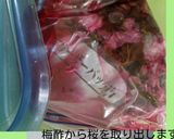八重桜で桜の花の塩漬け作り方10写真