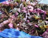 八重桜で桜の花の塩漬け作り方11写真