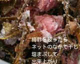八重桜で桜の花の塩漬け作り方12写真