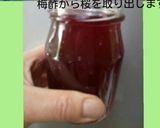 八重桜で桜の花の塩漬け作り方13写真