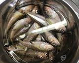 簡単！安くて美味い！はたはたの丸干し作り方3写真