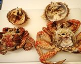 トゲクリガニ飯作り方1写真