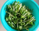 豆苗の中華炒め≦ФωФ≧作り方1写真