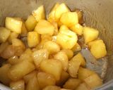 林檎の甘煮〜(o˘◡˘o)♡作り方26写真