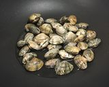 あさりと豆腐の春の旨煮作り方3写真